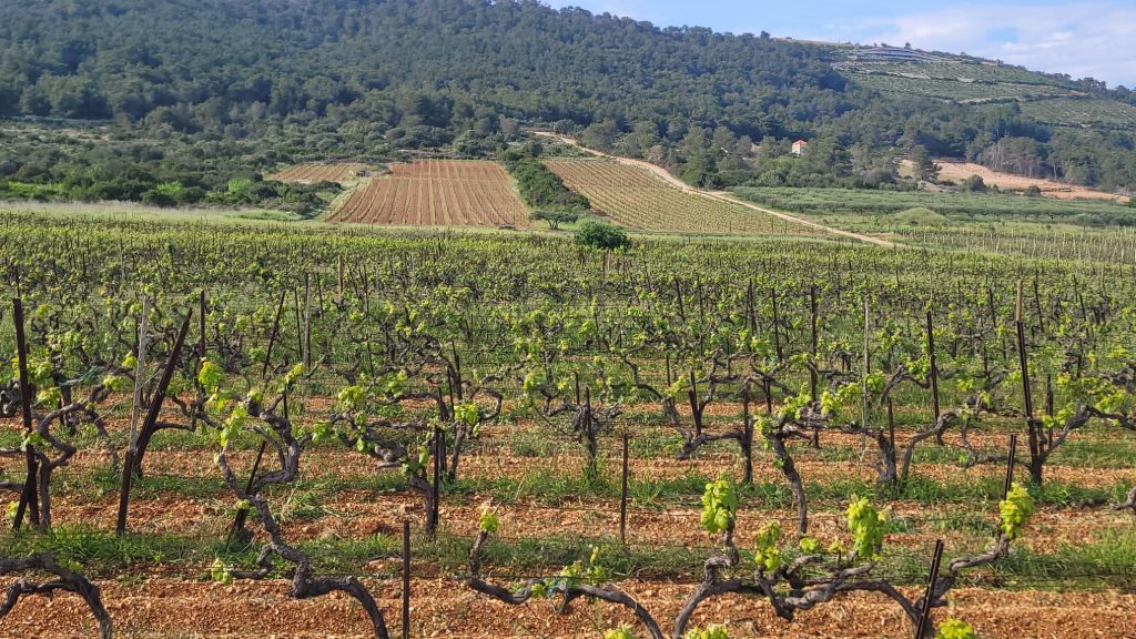 Stare loze esencija su užitka